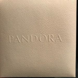 Perfect Mother’s Day gift Pandora Silver Bracelet